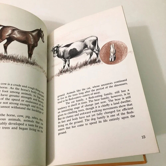 Vintage  1965 The History of the Horse by William DuPuy Hardcover Book - Picture 13 of 16